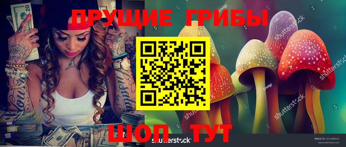 Кирово-Чепецк  Галлюциногенные грибы ЛСД  Вход с VPN 