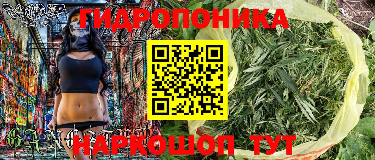 Каннабис индика  МАРИХУАНА сатива  Вход с VPN  Конопля конопля  МАРИХУАНА MAZAR  Кирово-Чепецк 